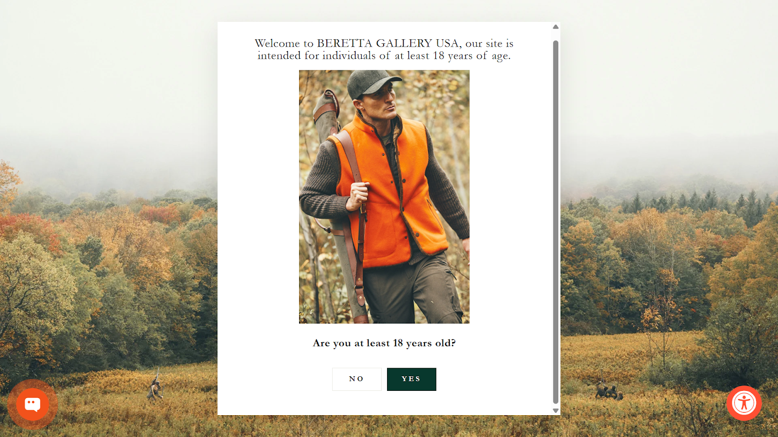 Beretta Gallery splash page with age verification prompt and minimalist design